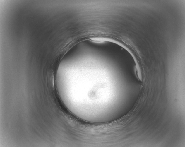 X0000056010021200509162356