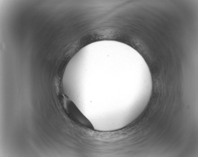 X0000056010026200509162356