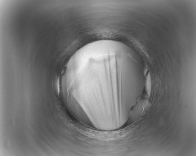 X0000056010027200509162356