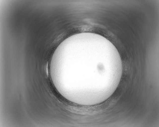 X0000056010028200509162356