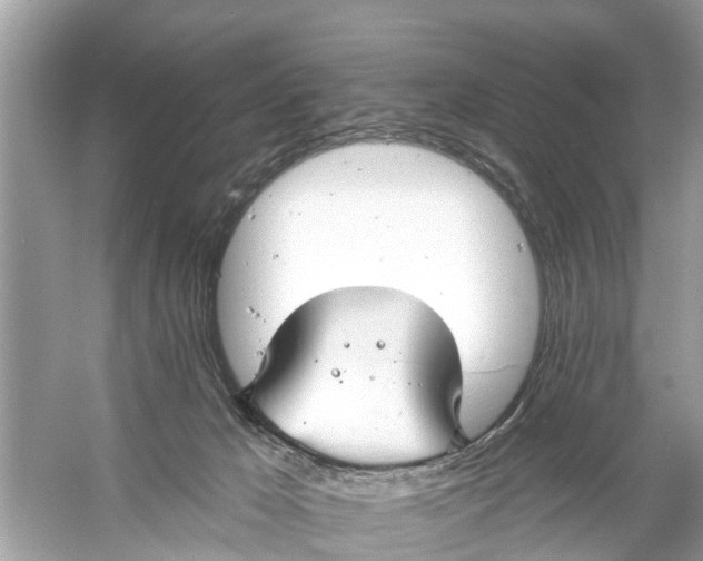 X0000056010029200509162356