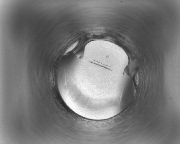 X0000056010031200509162356