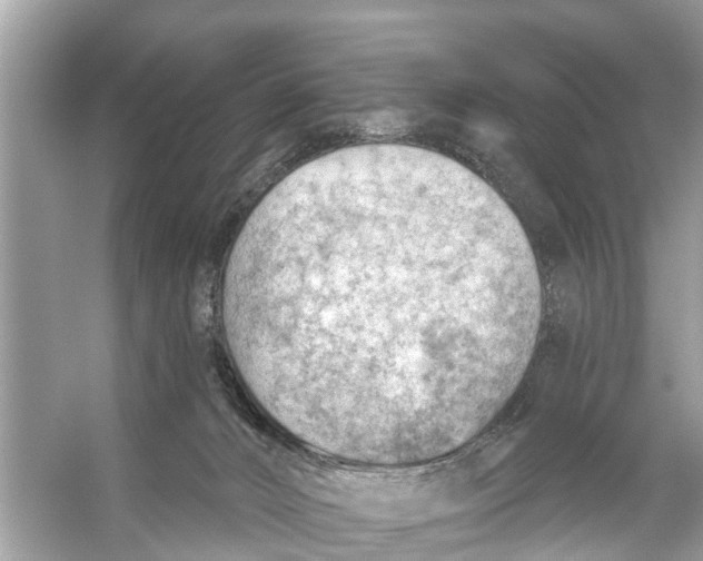 X0000056010032200509162355