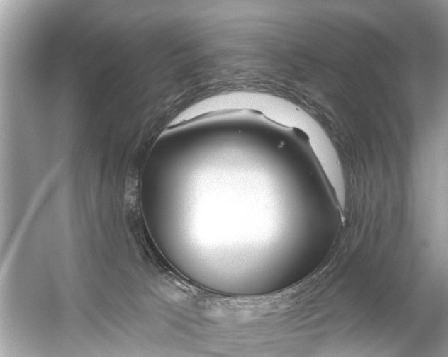 X0000056010033200509162355