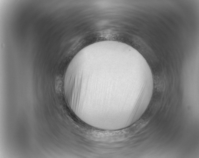 X0000056010036200509162355