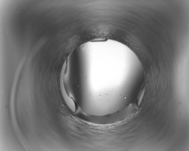 X0000056010037200509162355