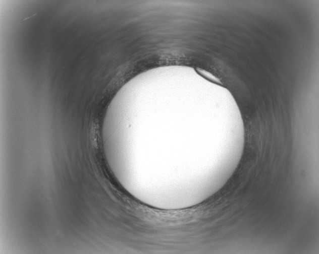 X0000056010038200509162355