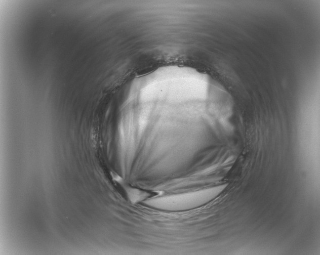 X0000056010039200509162355