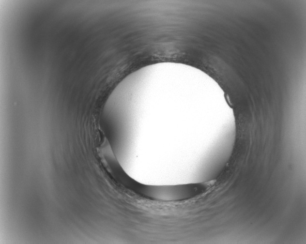 X0000056010040200509162355