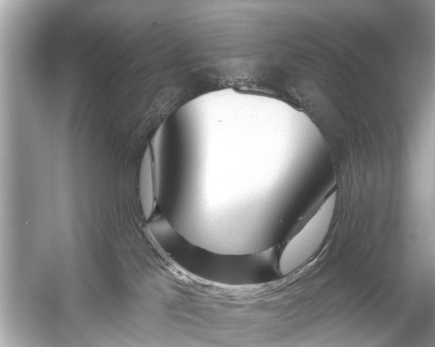 X0000056010041200509162355