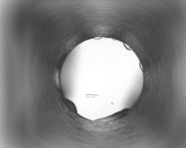 X0000056010042200509162355