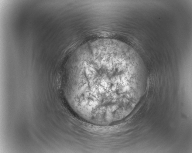 X0000056010043200509162355