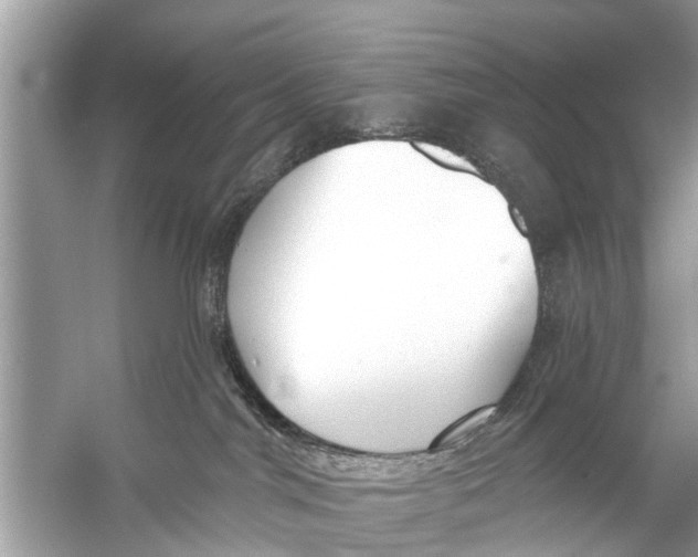 X0000056010044200509162355