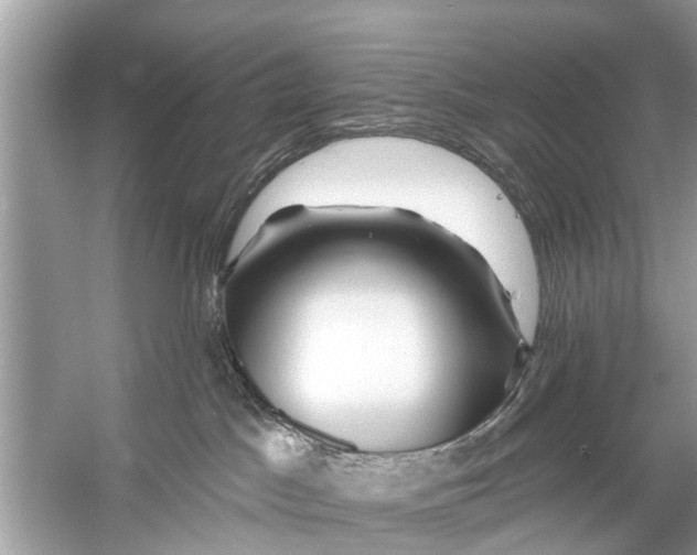 X0000056010045200509162355