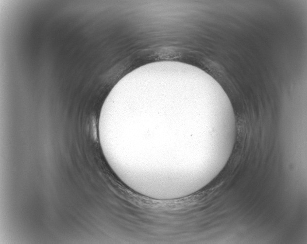 X0000056010046200509162355