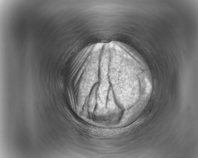 X0000056010048200509162355