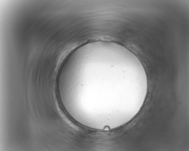 X0000056010049200509162354