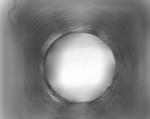 X0000056010050200509162354