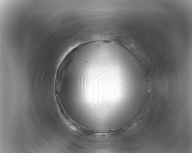 X0000056010052200509162354