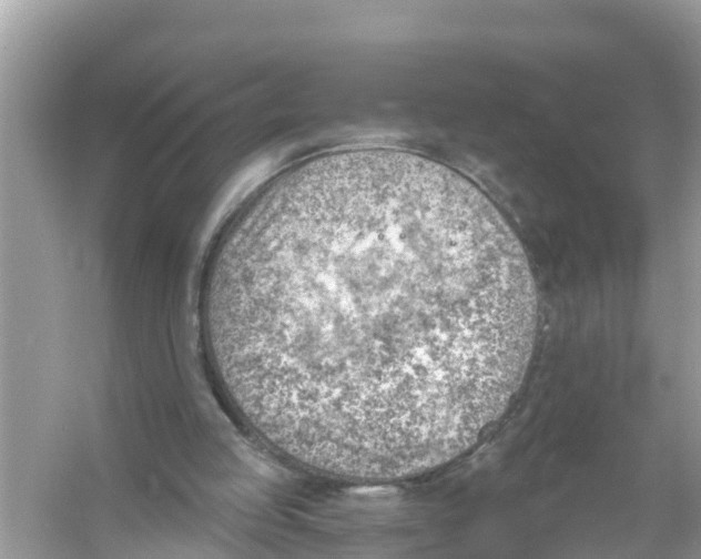 X0000056010053200509162354