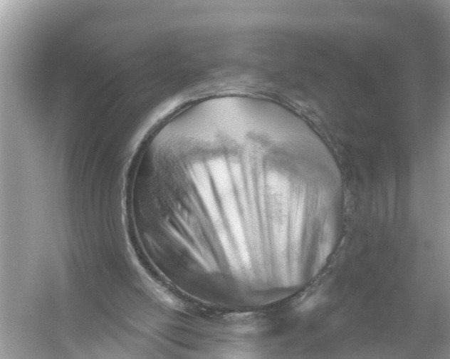 X0000056010054200509162354