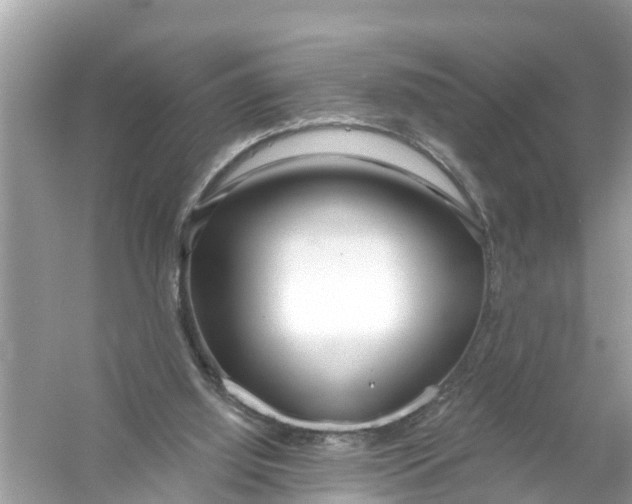 X0000056010060200509162355