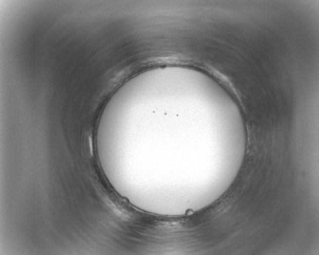 X0000056010061200509162355