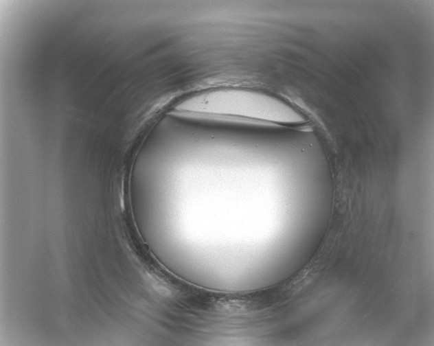 X0000056010062200509162355