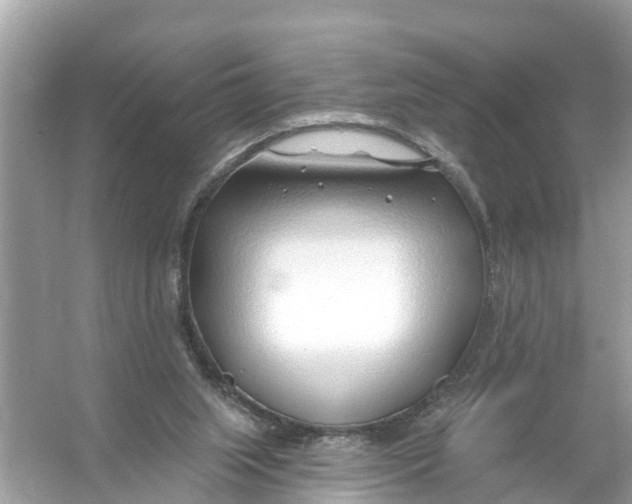 X0000056010063200509162355