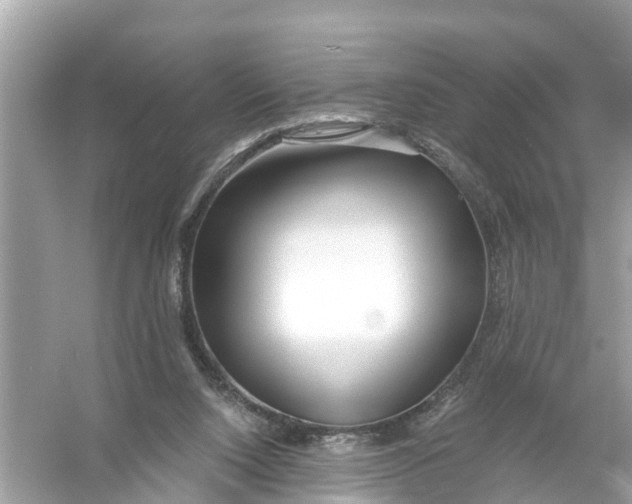 X0000056010064200509162355