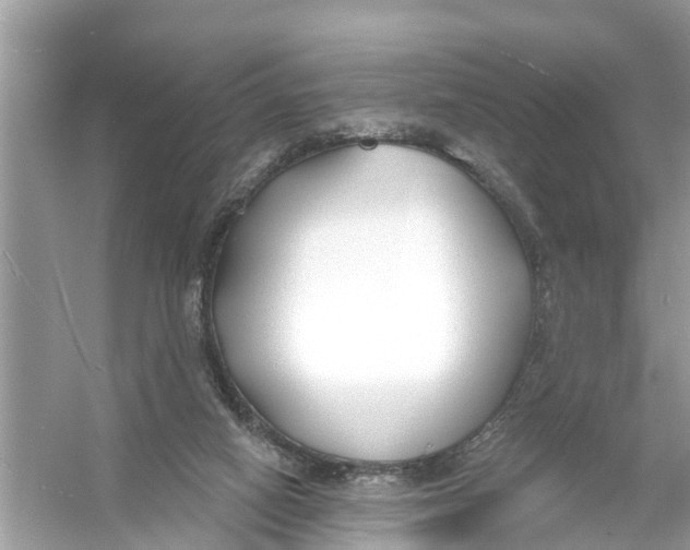 X0000056010066200509162355