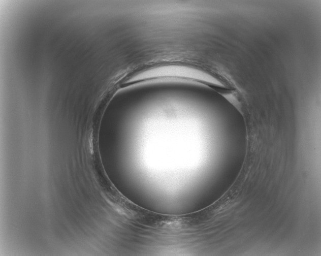 X0000056010068200509162355