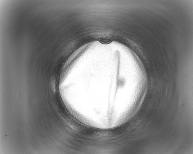 X0000056010069200509162355