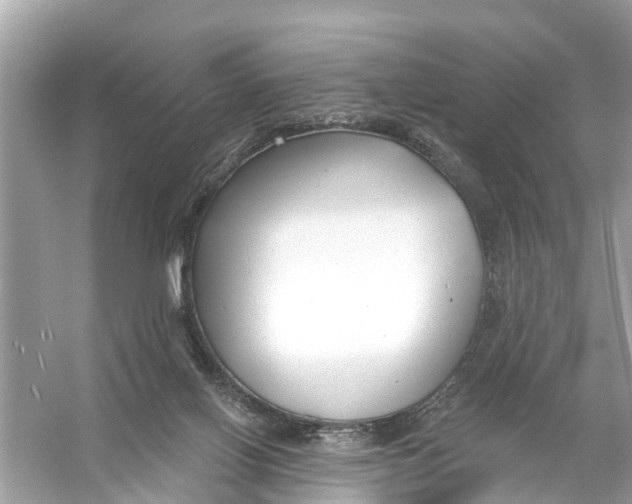 X0000056010070200509162355