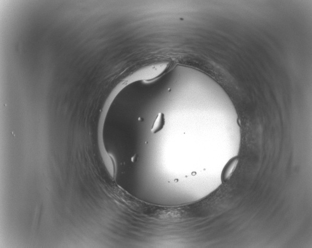 X0000056010075200509162355