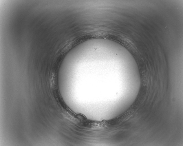 X0000056010077200509162355