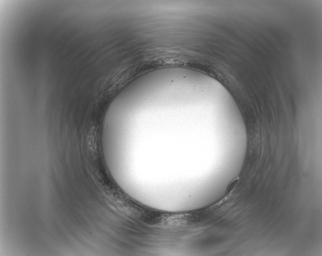 X0000056010078200509162355