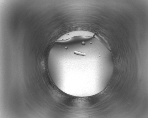 X0000056010086200509162355