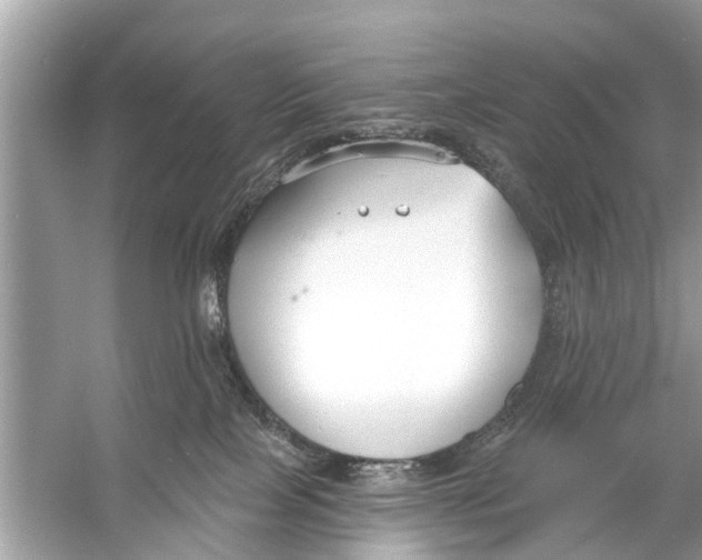 X0000056010089200509162355