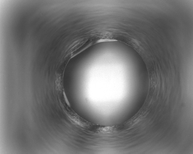 X0000056010092200509162355