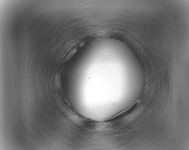 X0000056010096200509162355