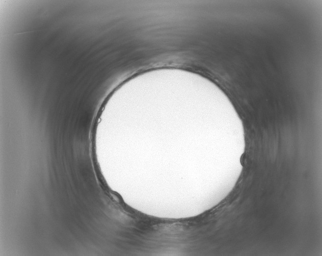 X0000056010100200509162354