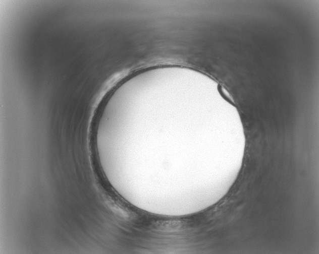 X0000056010104200509162354