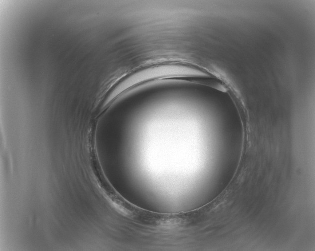 X0000056010105200509162354