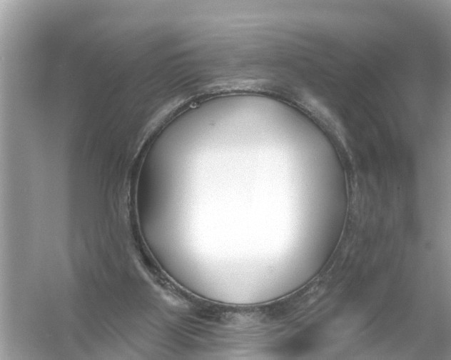 X0000056010107200509162354