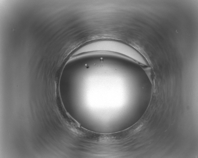 X0000056010109200509162354