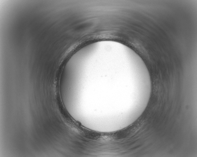 X0000056010111200509162354