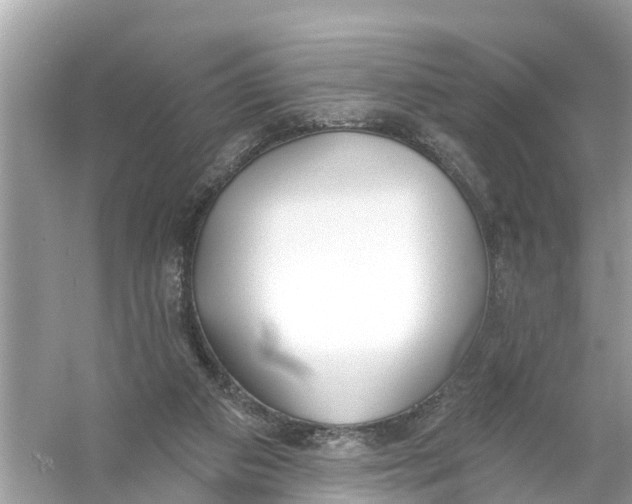 X0000056010113200509162354