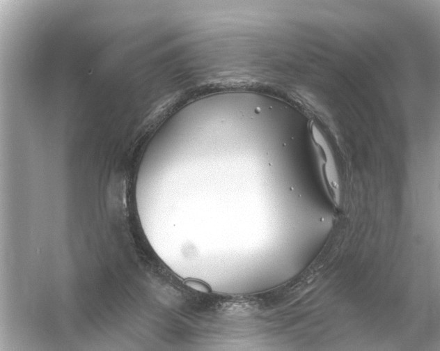 X0000056010115200509162354