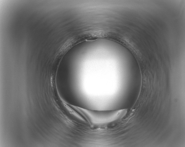 X0000056010117200509162354